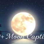 100+ Moon Captions for Instagram Cute, Funny & Romantic