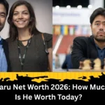 Hikaru Net Worth 2026 How Much Is He Worth Today